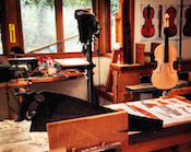 California, Washington, Oregon violins